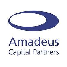 amadeus investment holdings llc   info investment business ideas