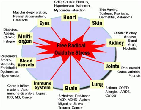 Oxidative Stress | The Natural Psoriasis Treatment Program