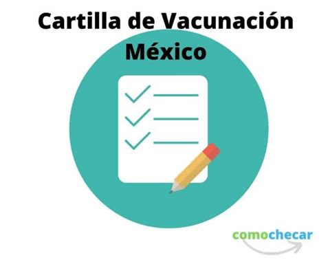 Cartilla De Vacunación México Datos Y Requisitos