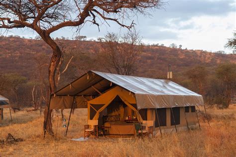 Kati Kati Tented Camp Tanzania Rhino Africa