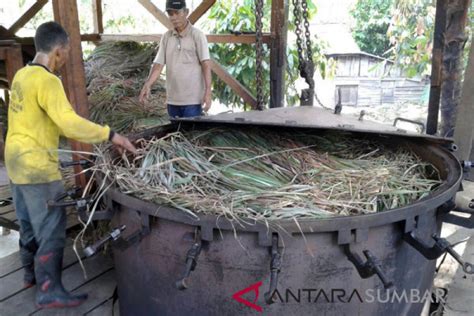 LIPI Indonesia Berpotensi Jadi Pemain Utama Bisnis Minyak Atsiri