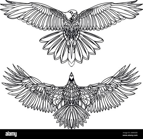 Eagle Flying Vector Monochrome Isolated Illustration Bird Stock Vector