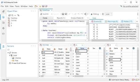 SAS BI Analytics SAS Viya En SAS Visual Analytics