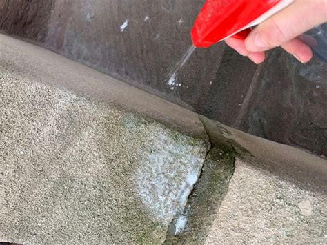 How To Clean Mold Or Mildew From Concrete And Stone Homeowner Homeownering