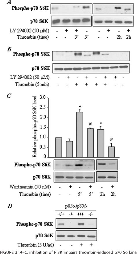 Figure From Protein Kinase C And Phosphatidylinositol Kinase Akt