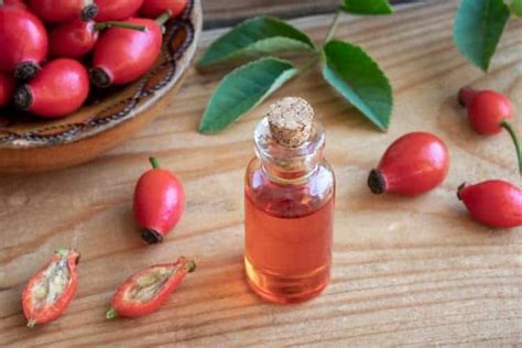 Difference Between Rosehip Oil And Rosehip Seed Oil Benefits Uses