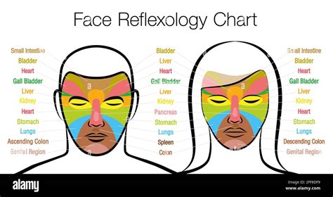 Face Acupressure Points Chart