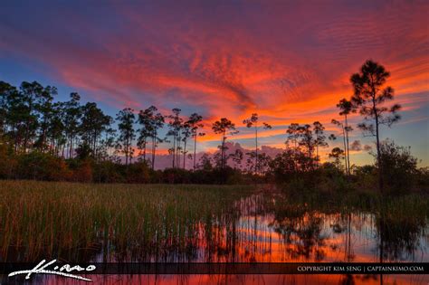 Palm Beach Gardens Wetland Sunset