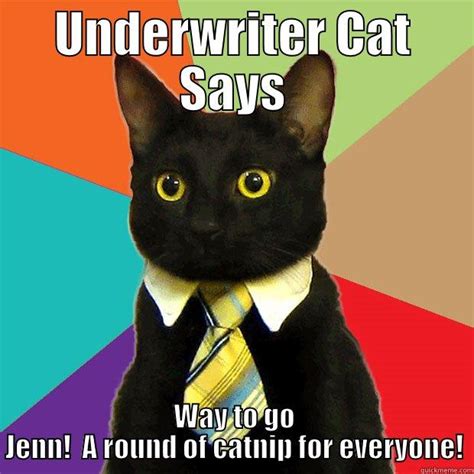 Underwriter Cat Quickmeme