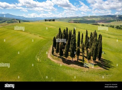 Vista Aérea De Los Famosos Cipreses De San Quirico Dorcia En Primavera