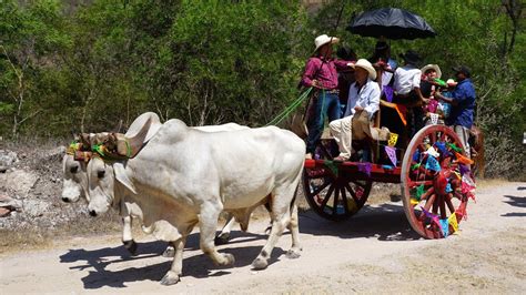 Descubre Las Fascinantes Costumbres Y Tradiciones De San Pedro Una