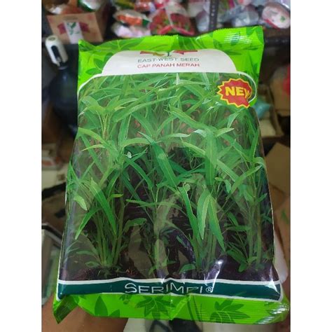 Jual Benih Kangkung Daun Sempit SERIMPI 1 Kg Shopee Indonesia