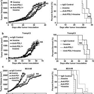 Inosine Can Support Human T Effector Cell Proliferation And Function In