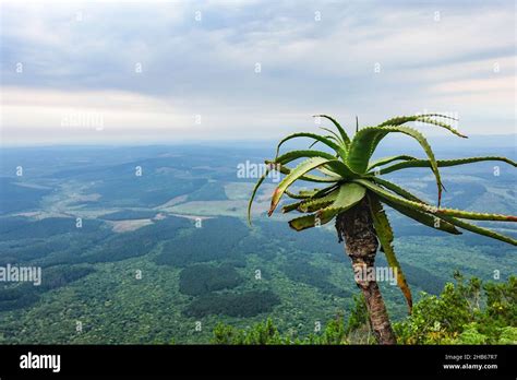 Panorama at God's Window viewpoint alongside the panorama route, Mpumalanga, South Africa Stock ...