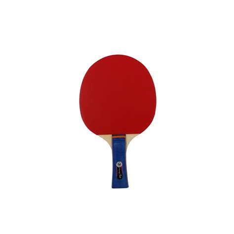 Raquette De Tennis De Table 6 Étoiles En Fibre De Carbone Ping pong