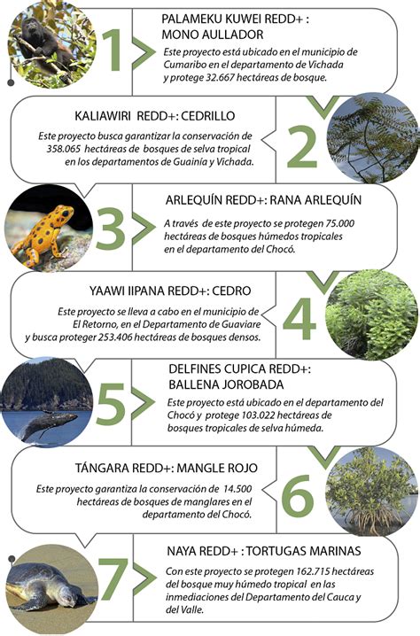 Infografias Sobre La Biodiversidad En Colombia Imagenes Y Noticias Images