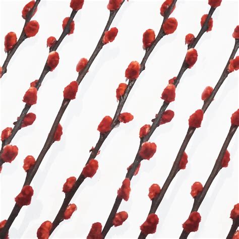 Jual Bunga Hias Artificial Dekorasi Plastik Dekor Bunga Dried Pussy Willow Red Berry Fwr Cny