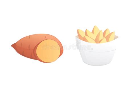 Set Potatoes Vector Illustration Isolated Potato On White Background Stock Vector