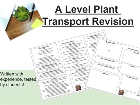 A Level Plant Transport Revision Teaching Resources