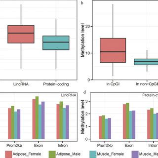 DNA Methylation Patterns Around The TSS Of LincRNA And Protein Coding