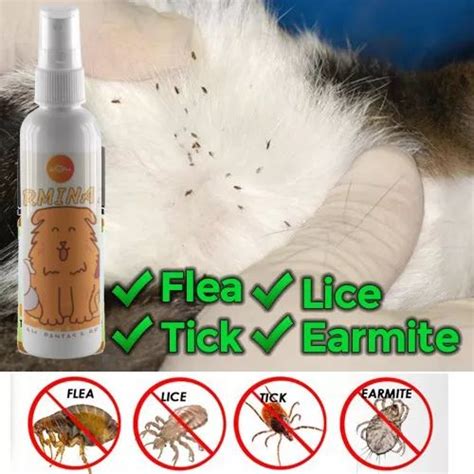 Ubat Kutu Kucing Spray Cacing Kurap Hama Telinga Mata Cat Flea Drop