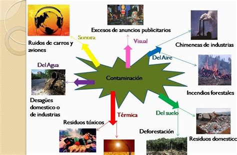 Meio Ambiente Mapa Mental Brebadimapa