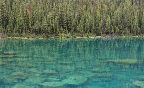 Consolation Lakes Hike From Moraine Lake In The Canadian Rockies Our