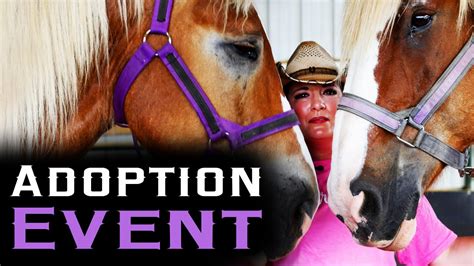 Adoption Event Horse Rescue Heroes S3e6 Youtube