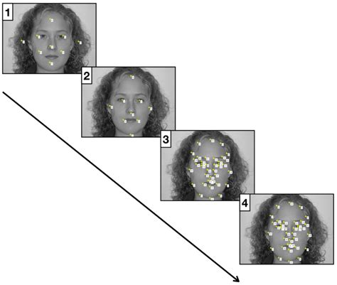 schematic   typical procedure  placing landmarks  move