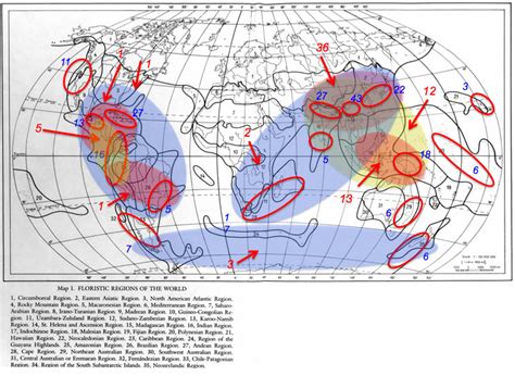 World Diversity Map