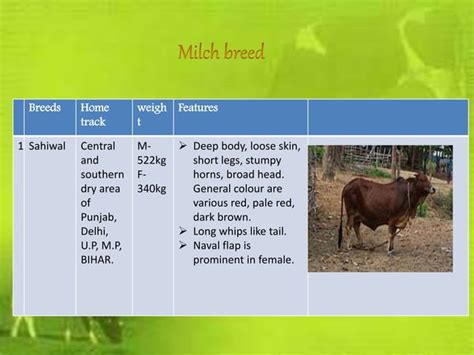 Indigenous And Exotic Breeds Of Livestock Ppt