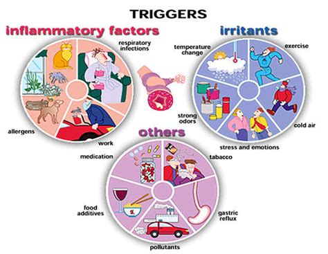 Asthma 101 Colorado Allergy And Asthma Centers Pc