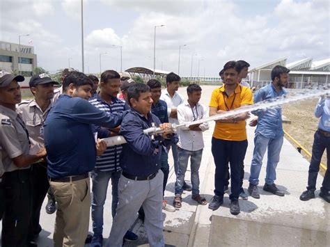 Pitbull kids safety training programs help families build strong bonds 2