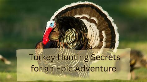 Unleashing The Wild Mastering Turkey Hunting Secrets For An Epic Adventure