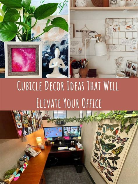 Best Cubicle Decor Ideas That Will Elevate Your Office – Pink Pop Design