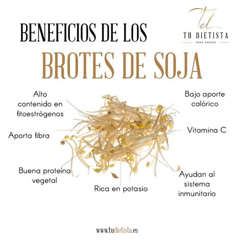 Beneficios De Los Brotes De Soja Actualizado