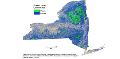 Cornell Cooperative Extension Woodland Stewardship