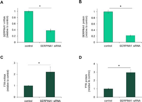 Serpina Knockdown Results In Induction Of Ttr Expression In Hepatoma