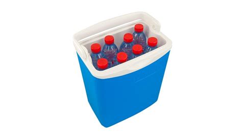 Portable Fridge Cooler Icetime 13 Blue Campingaz Rehabilitaweb