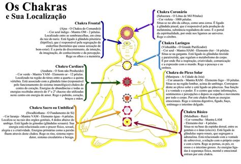 Os Chakras E Os Registros Ak Shicos