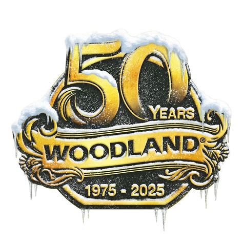 The worcester to boston train offers a secret scenic woodland view 17