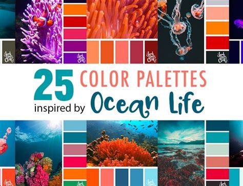 Summer Color Palettes Artofit