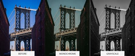 Monochrome vs Grayscale Photography: What Is the Difference