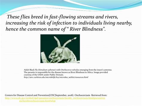 Ppt Onchocerciasis Powerpoint Presentation Id1861047