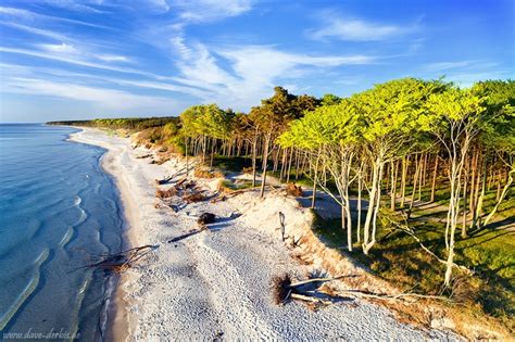 Baltic Sea Beach