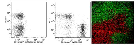 BV421 Rat Anti Mouse CD19 1D3 BD Pharmingen 优宁维 univ 商城