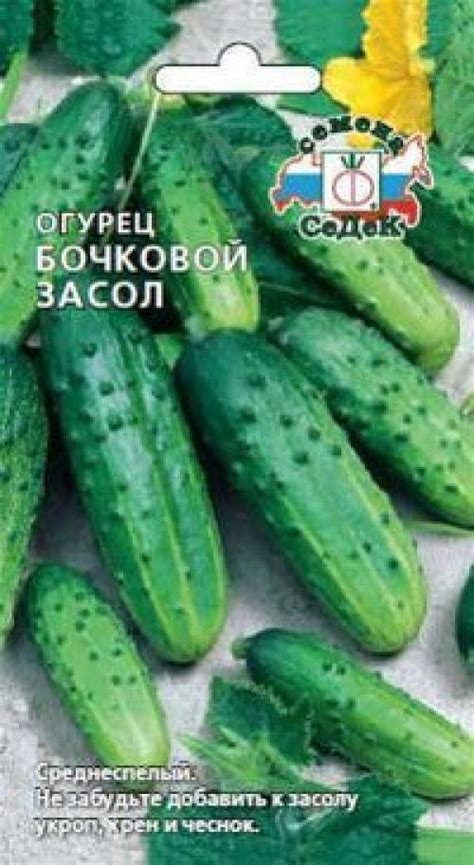 Сорта огурцов для ленинградской области для теплиц. Семена огурцов для ...