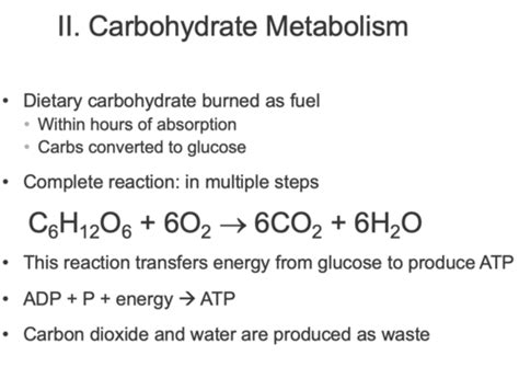 Carbohydrate Metabolism Flashcards Quizlet