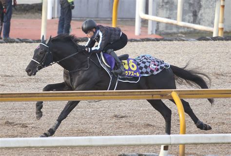 【勝羽の日曜競馬コラム・有馬記念】 日刊ゲンダイ競馬