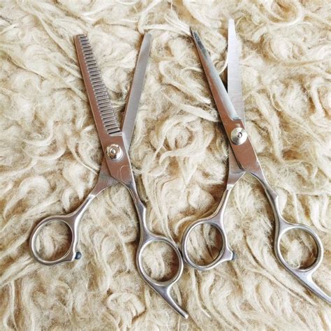 Jual Gunting Rambut 6 Inch Set Gunting Barber Salon Gunting Cukur